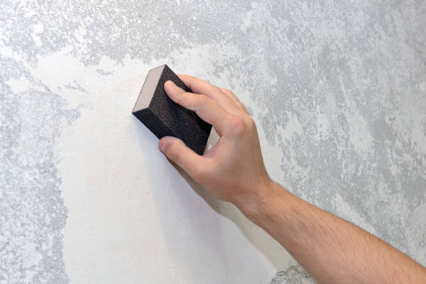 Best Mold Remediation for Healthcare Facilities  in Brush, CO