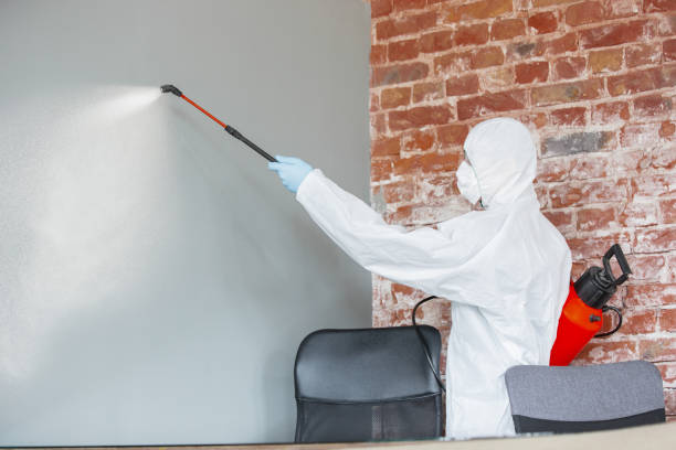 Best Commercial Mold Inspection  in Brush, CO
