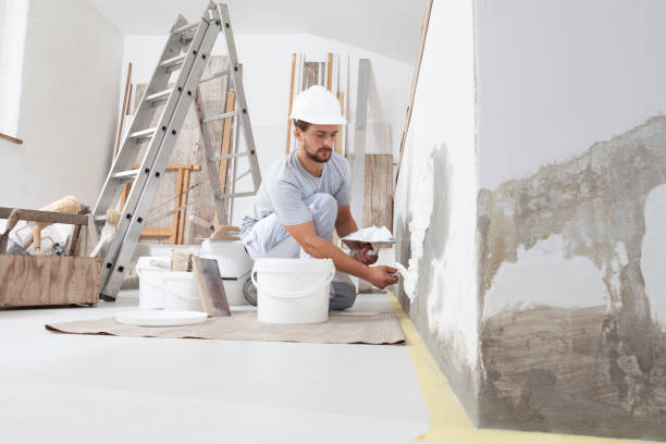 Best Biohazard Mold Removal  in Brush, CO