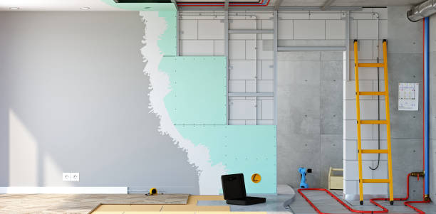 Best Mold Damage Restoration  in Brush, CO