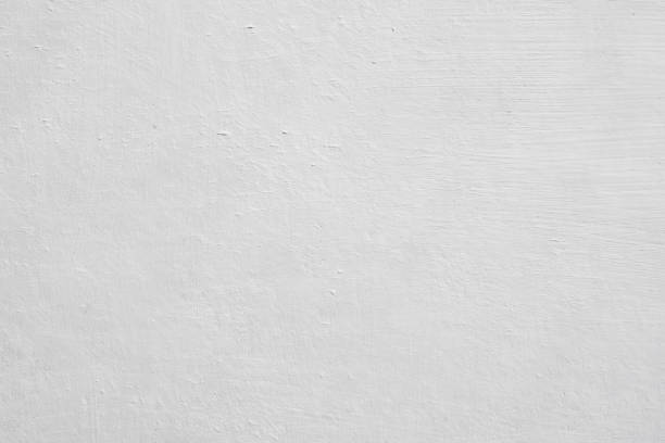 Best Black Mold Removal  in Brush, CO