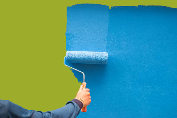 Best Mold Remediation for Healthcare Facilities  in Brush, CO